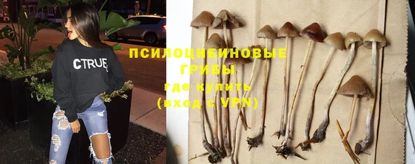 бутират Алзамай